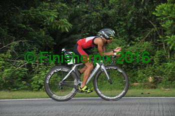 1558_013033 | Bike