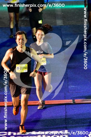 3600_006533 | Run