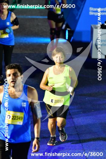 3600_013172 | Run