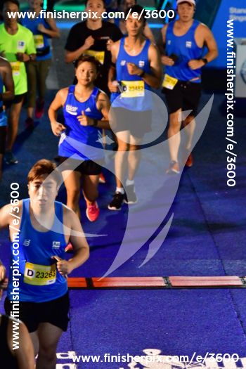 3600_013538 | Run