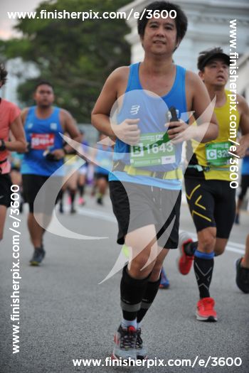 3600_018703 | Run