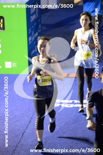 3600_028818 | Run