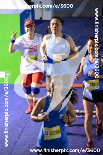 3600_029441 | Run