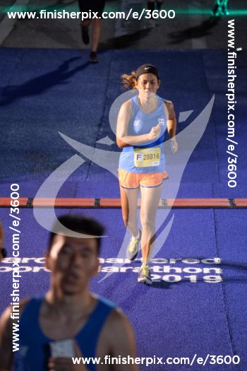 3600_029456 | Run
