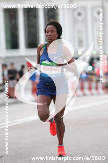 3600_039076 | Run