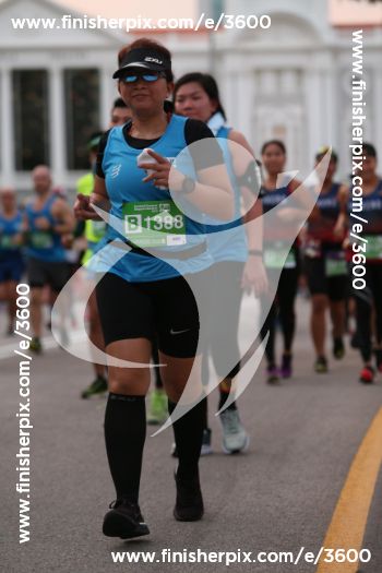 3600_040529 | Run