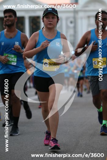 3600_040938 | Run