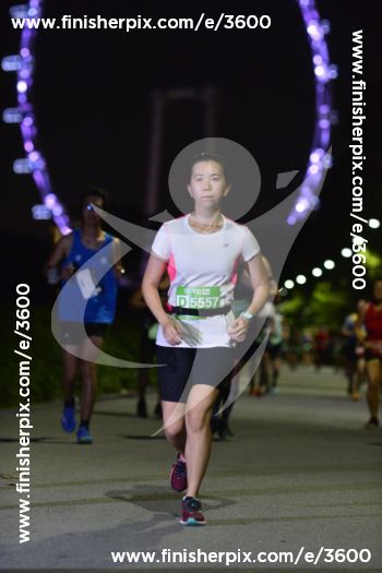 3600_073146 | Run