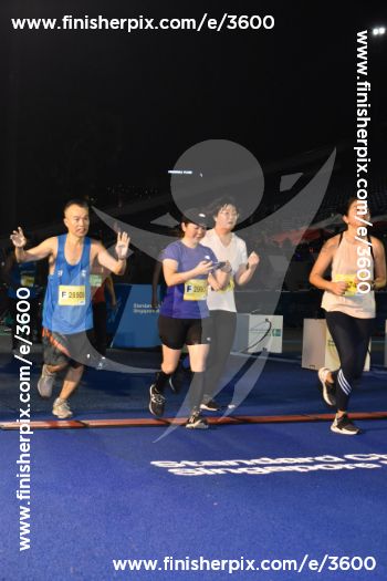 3600_131397 | Run