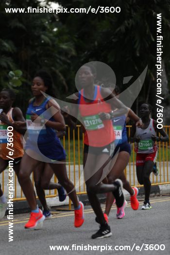 3600_143126 | Run