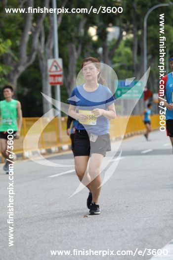 3600_144486 | Run