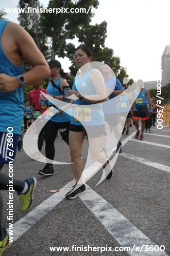 3600_146905 | Run