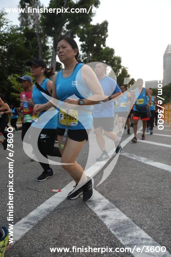 3600_146906 | Run