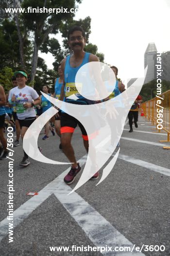 3600_146910 | Run