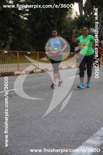 3600_147668 | Run
