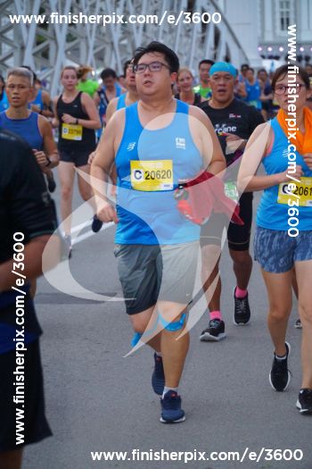 3600_160559 | Run