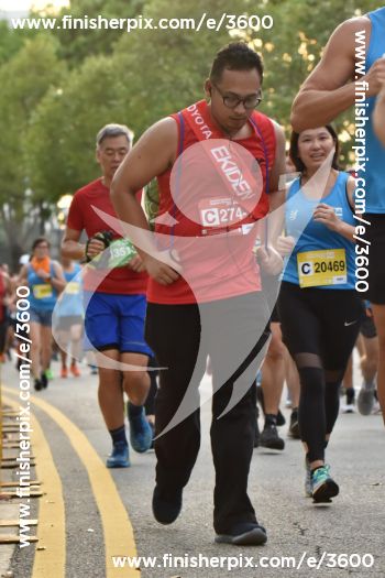 3600_168775 | Run
