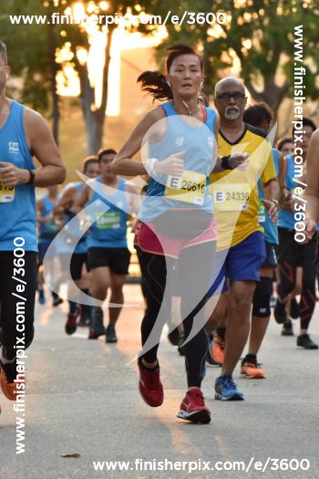 3600_169562 | Run