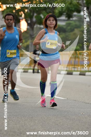 3600_170135 | Run