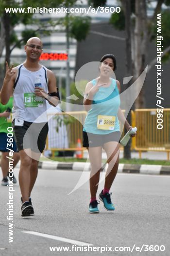 3600_170856 | Run