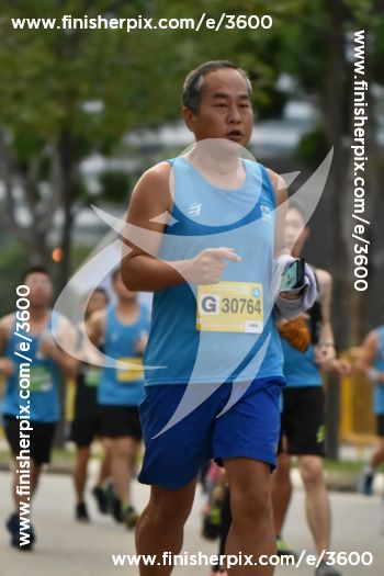 3600_170978 | Run