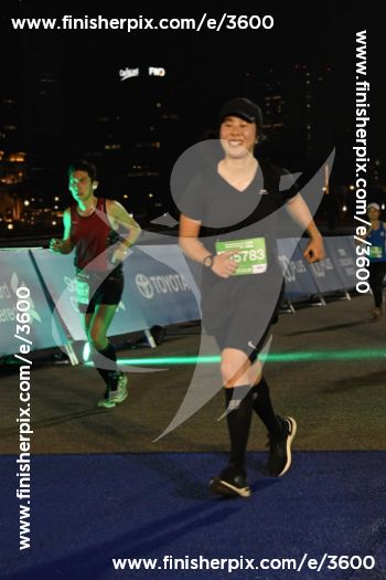 3600_238912 | Run