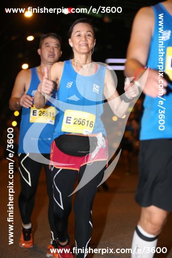 3600_246845 | Run