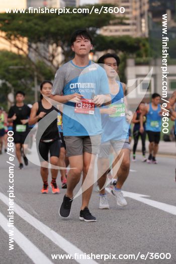 3600_252306 | Run