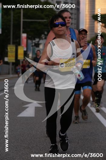 3600_252564 | Run