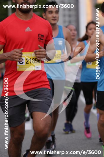 3600_252729 | Run