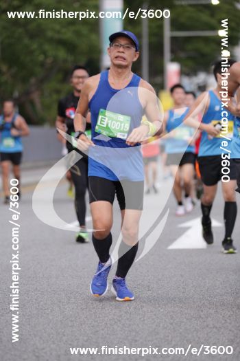 3600_253156 | Run