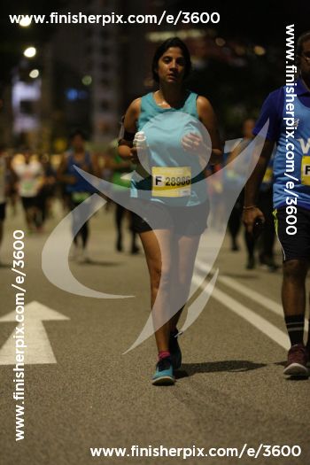 3600_255613 | Run