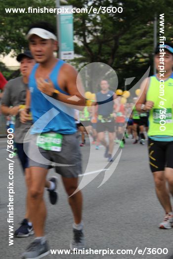 3600_266262 | Run