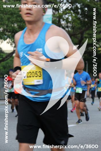 3600_266649 | Run