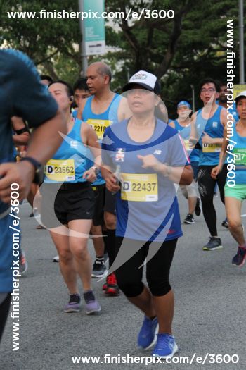 3600_267504 | Run