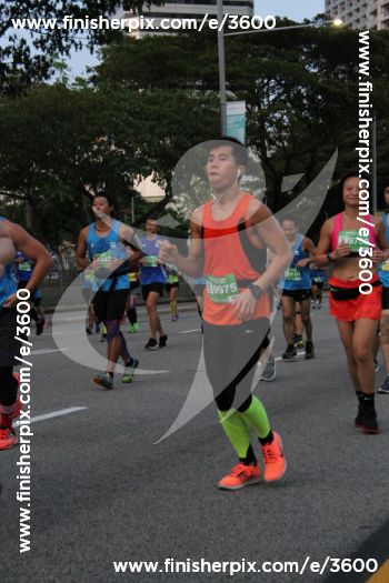3600_268008 | Run