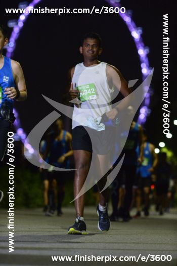 3600_274338 | Run