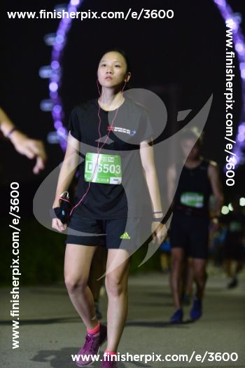 3600_276337 | Run
