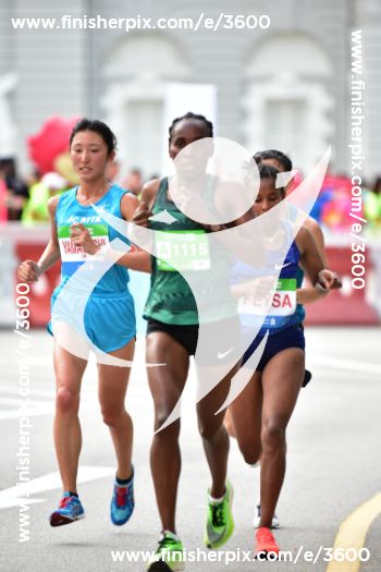 3600_283445 | Run