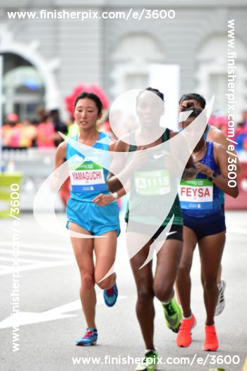 3600_283446 | Run
