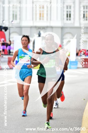 3600_283447 | Run