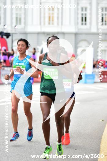 3600_283448 | Run