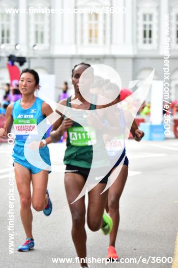 3600_283449 | Run