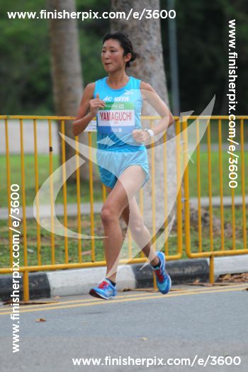 3600_286119 | Run