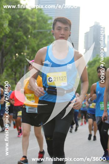 3600_287248 | Run