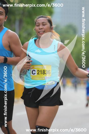3600_287494 | Run