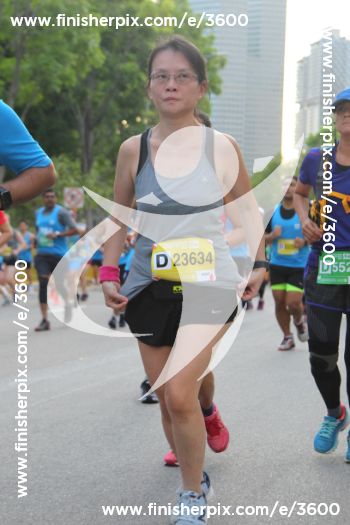 3600_288000 | Run