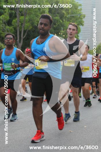 3600_288026 | Run