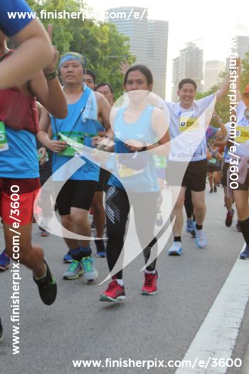 3600_288379 | Run