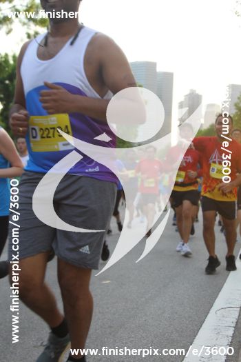 3600_288390 | Run
